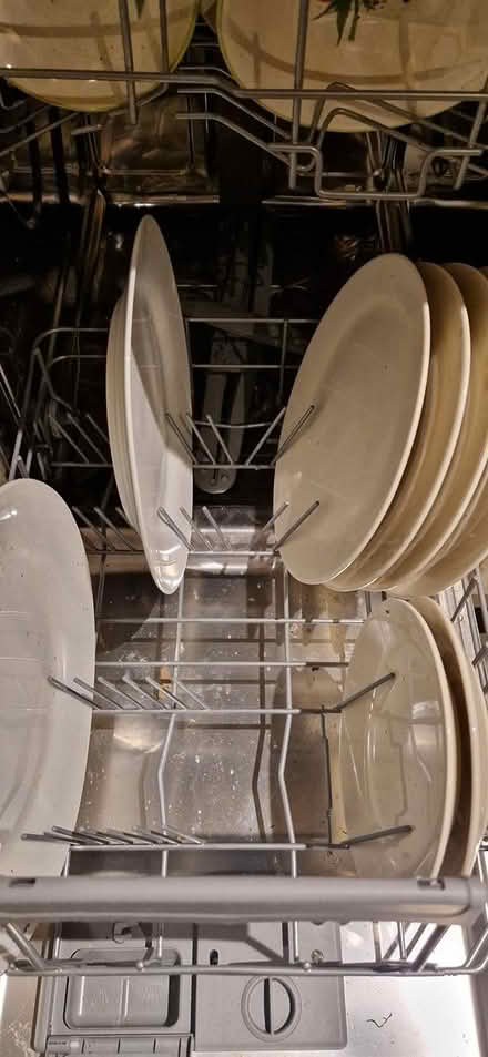 Photo of free Delph (Booterstown) #2