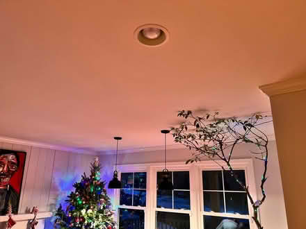 Photo of free Pendant lights - 2, black (Bethesda) #2