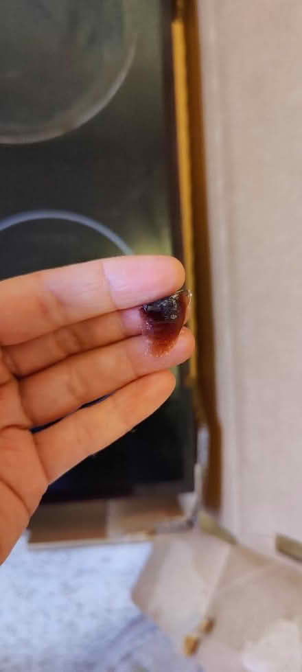 Photo of free Lamona Electric Hob (Little Chester DE1) #4