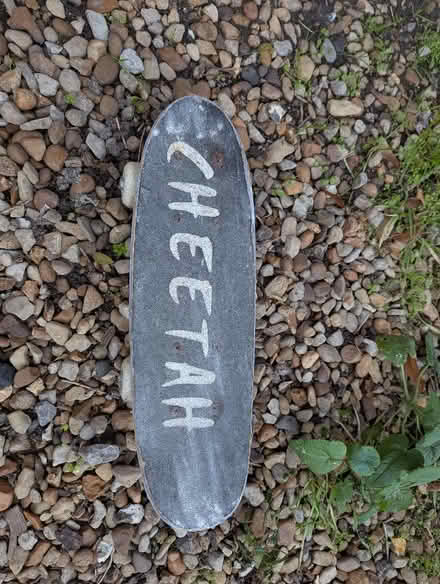 Photo of free Skate board (East Hendred OX12) #3