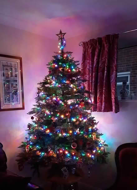 Photo of free 6 ft Christmas tree (Oliver's battery, Winchester) #1