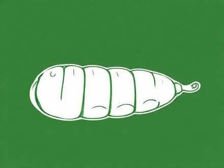 Photo of Big Chain (PL2) #1