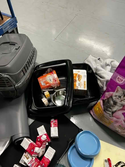 Photo of free Cat stuff (Tw14) #4