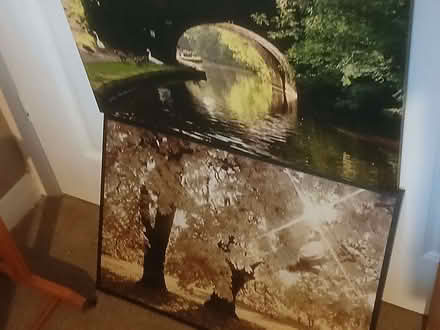 Photo of free 5 Pictures (various Sizes) (Mile House TS19) #3