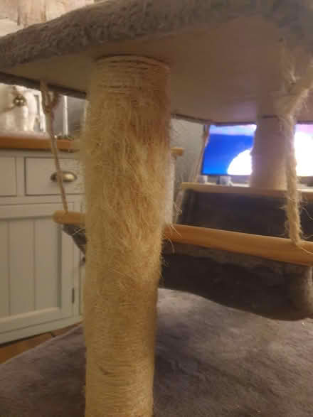 Photo of free Cat scratching post (Chirton, North Shields NE29) #1