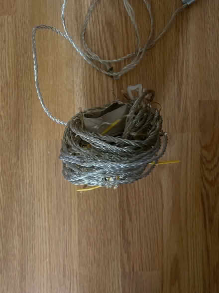 Photo of free White outdoor Christmas lights (Earley RG6) #2