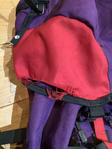 Photo of free Rucksack - hiking (Bear Flat) #3