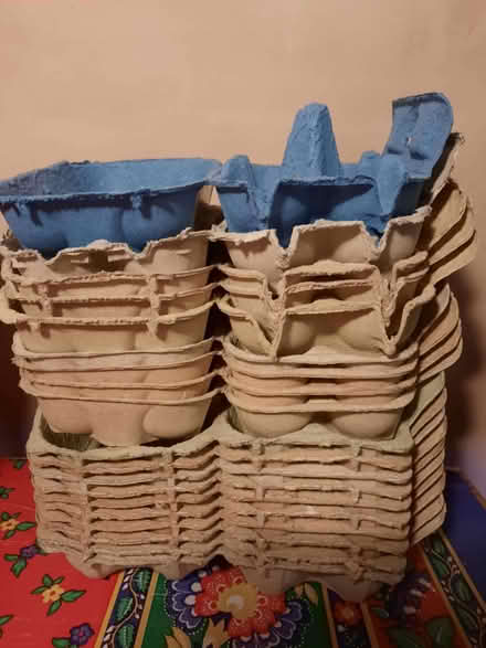 Photo of free Egg boxes - useful for schools/gardeners? (Stanley Gate L39) #1