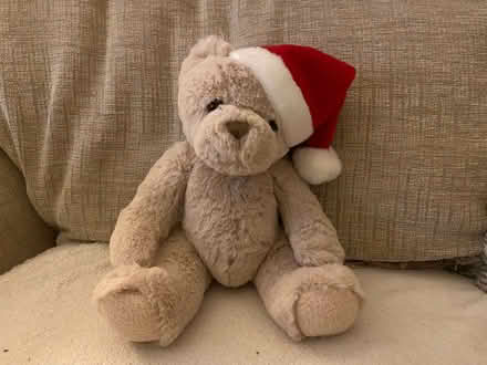 Photo of free Christmas Teddy and Santa (Garden City OX5) #1
