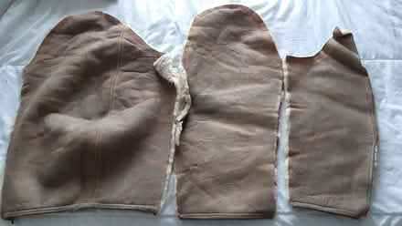 Photo of free Sheepskin pieces (Fishbourne PO19) #2