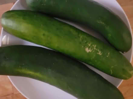 Photo of free Produce (Oakland) #1