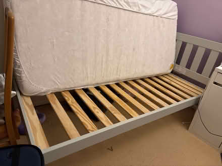 Photo of free Single bed and mattress (Bordon) #1