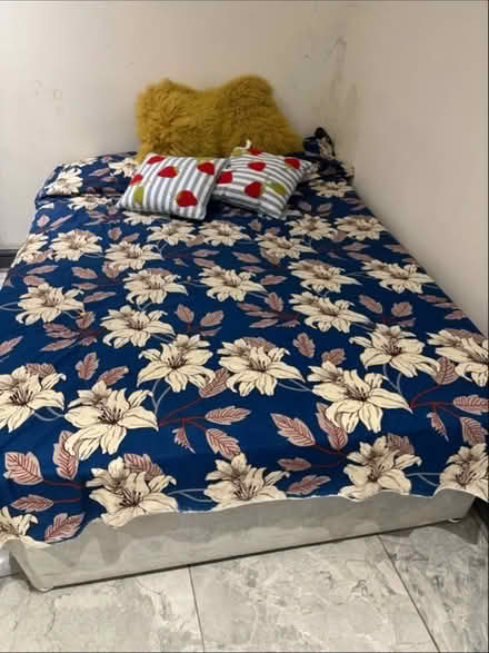 Photo of free Bed frame (M19 3XR) #2