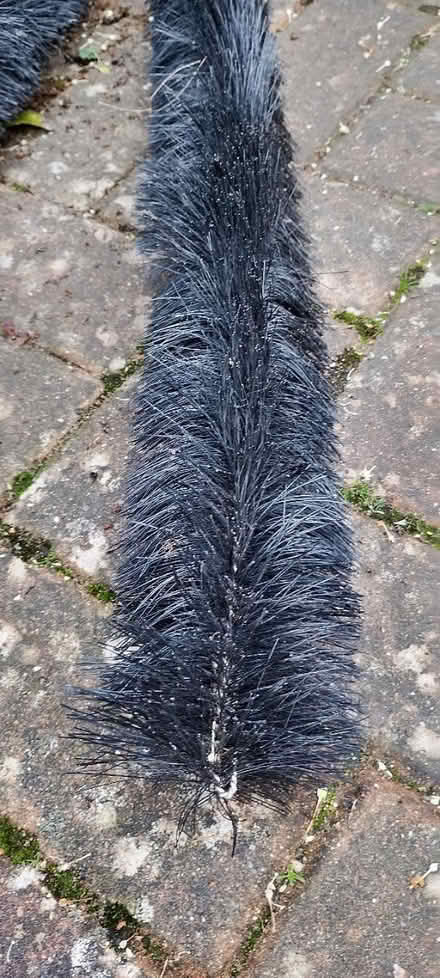 Photo of free Gutter sediment trapper (Eastbourne BN21 2) #1