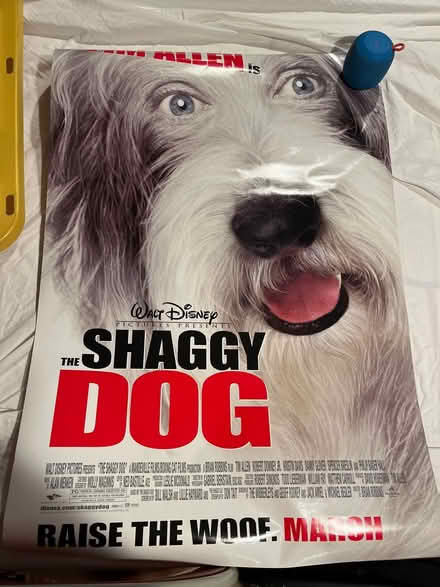 Photo of free Movie Poster - The Shaggy Dog (Farmington Hills) #1