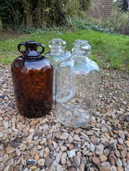 Photo of free Demijohns (East Hendred OX12) #1