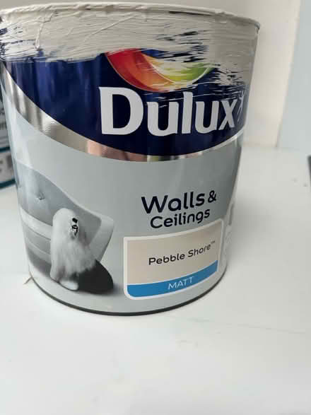 Photo of free Pebble Shore Paint (Guildford) #1