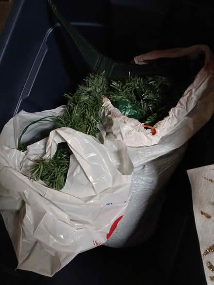 Photo of free Christmas decorations (Delridge, West Seattle) #3