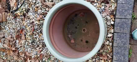 Photo of free Garden planter ( ceramic) (Eastbourne BN21 2) #2