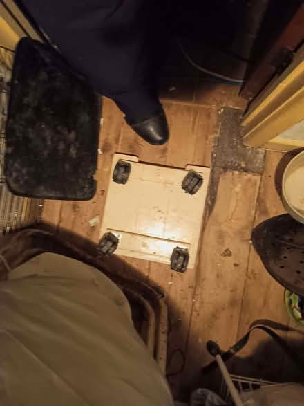 Photo of free White wooden plant "mover"/ stand (Knaresborough HG5) #1