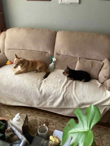 Photo of free Recliner sofa and chair (Eston TS6) #1