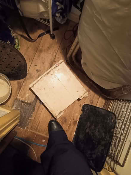 Photo of free White wooden plant "mover"/ stand (Knaresborough HG5) #2