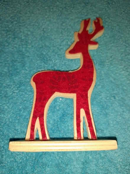 Photo of free Christmas decoration (Alvaston DE24) #1