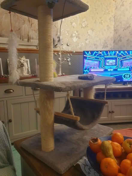 Photo of free Cat scratching post (Chirton, North Shields NE29) #3