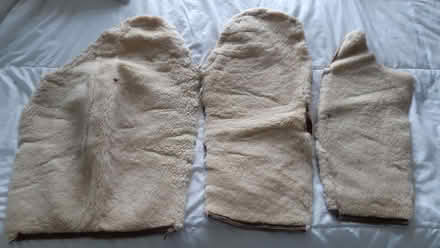 Photo of free Sheepskin pieces (Fishbourne PO19) #1
