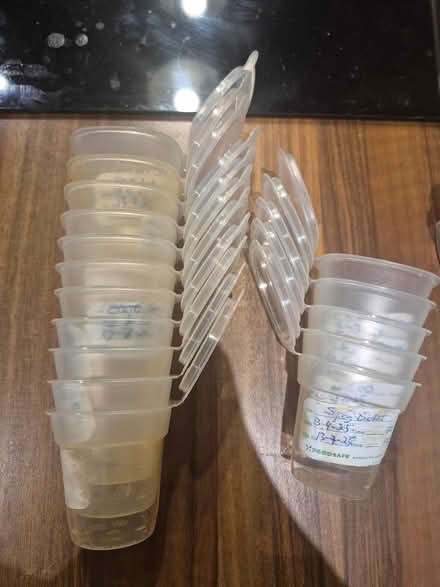 Photo of free Food containers (Brian road, Marino) #4