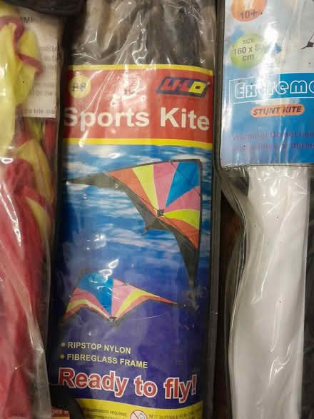 Photo of free Kites (Bilton) #2