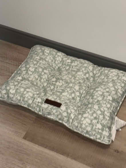 Photo of free Cat supplies (Polish Hill) #2