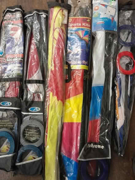 Photo of free Kites (Bilton) #1