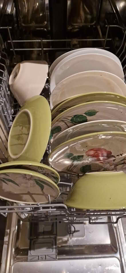 Photo of free Delph (Booterstown) #1