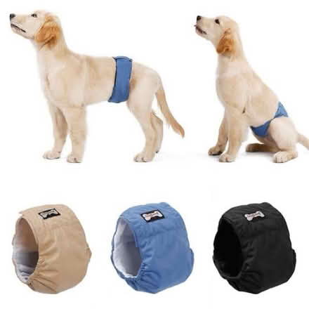 Photo of Male dog wrap XL (AL10) #2