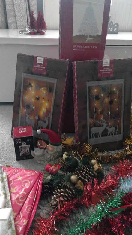 Photo of free Christmas decorations (Whitnash CV31) #2