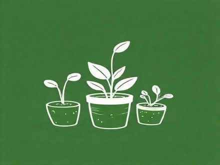 Photo of Plant clippings/soil/pots (Hoxton N1) #1