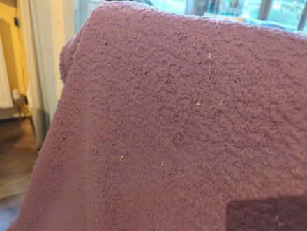 Photo of free Blanket (Sheffield S12) #3