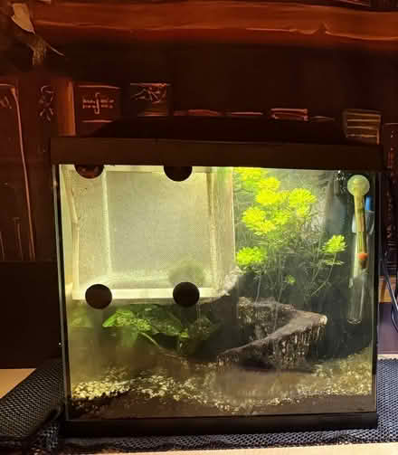 Photo of free Used fish tanks (Denton Burn) #1