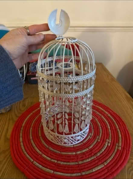 Photo of free Birdcage style ceiling lamp shade (Cheshunt En8) #2