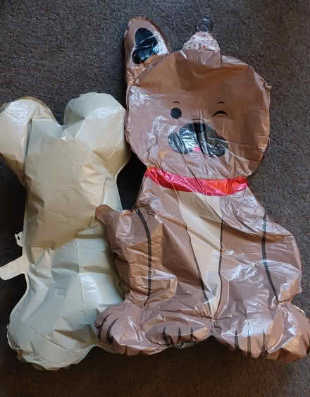 Photo of free Dog & bone balloons - Jersey Farm (St Albans Jersey Farm AL4) #1