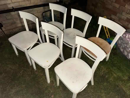 Photo of free Dining chairs (BN12 Goring) #1