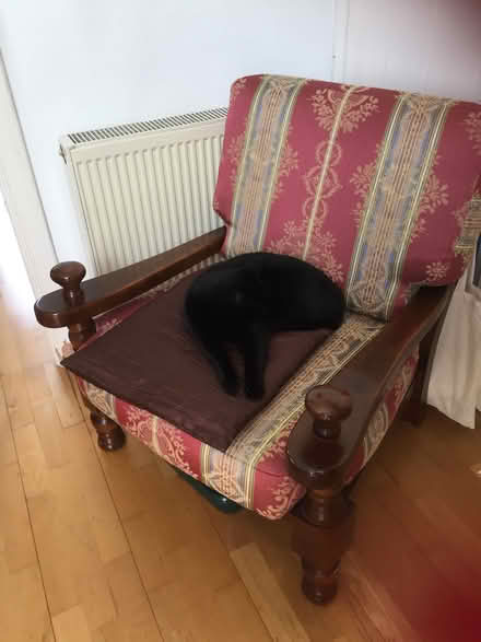 Photo of free Armchair (Barnes SW13) #1