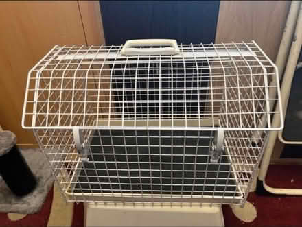 Photo of free Pet carrier (Long ditton) #1