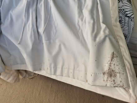 Photo of free 2 White Black-out Curtains (Woking GU22 9) #2