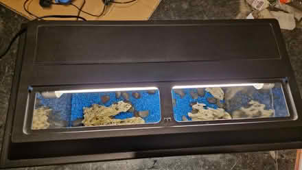 Photo of free Fish tank (Hindley WN2) #1