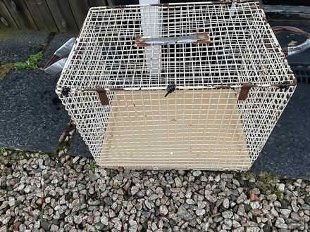 Photo of free Extra Large Cat Basket (Dousland) #3