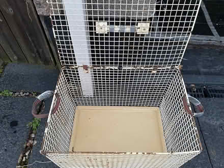 Photo of free Extra Large Cat Basket (Dousland) #2