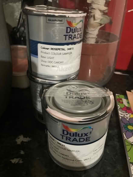 Photo of free Paint samples, different pinks (Rhwibina CF14) #1