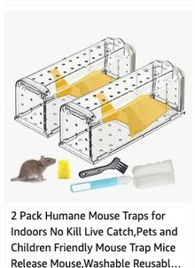 Photo of Humane Mouse Trap - (Walpole St Andrew PE14) #1
